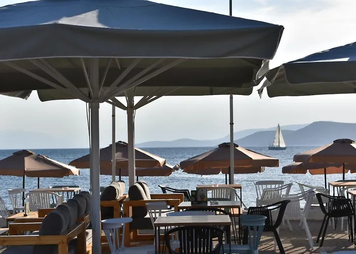 Evia Dream